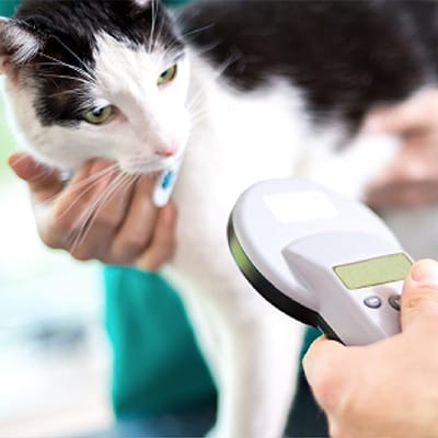 Microchipping Microchipping
