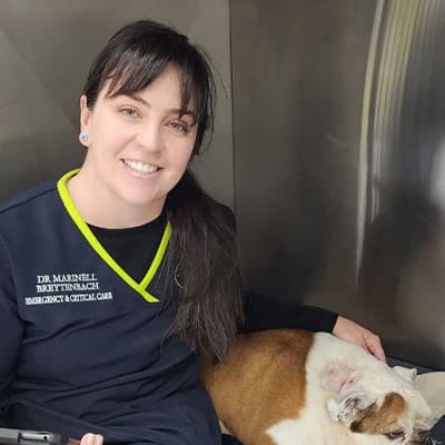 Dr Marinelle Breytenbach Dr Marinelle Breytenbach