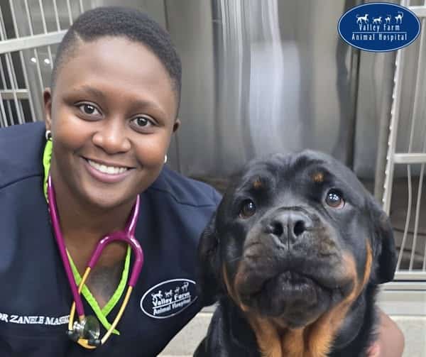 Dr Zanele Maseko
