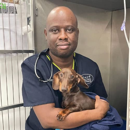 Dr. Gilbert Jongi